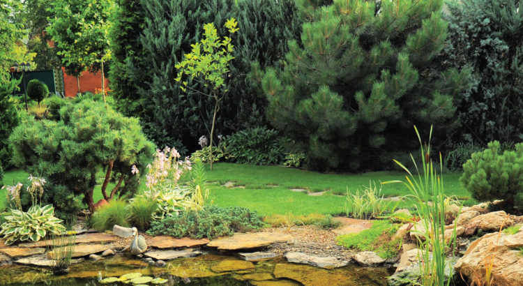 Carson Arthur Landscaping ROI